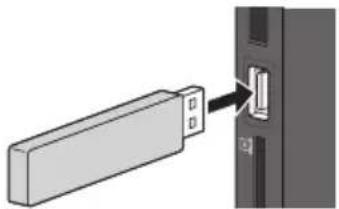 PANASONIC Viera TX-P50G30Y - För att sätta in eller ta ut SD-kortet / USB Flash-minne - 1