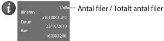 i filnamn 1/48—Antal filer / Totalt antal filer Datum p1010001.JPG 23/10/2010 Pixel 1600X1200