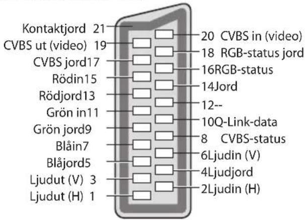 Kontaktjord 21 CVBS ut (video) 19 CVBS jord17 Rödin15 Rödjord13 Grön in11 Grön jord9 Blåin7 Blåjord5 Ljudut (V) 3 Ljudut (H) 1 20 CVBS in (video) 18 RGB-status jord 16RGB-status 14Jord 12-- 10Q-Link-data 8 CVBS-status 6Ljudin (V) 4Ljudjord 2Ljudin (H)