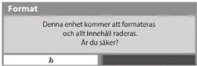 Format Denna enhet kommer att formateras och allt innehåll raderas. Är du säker? Ja