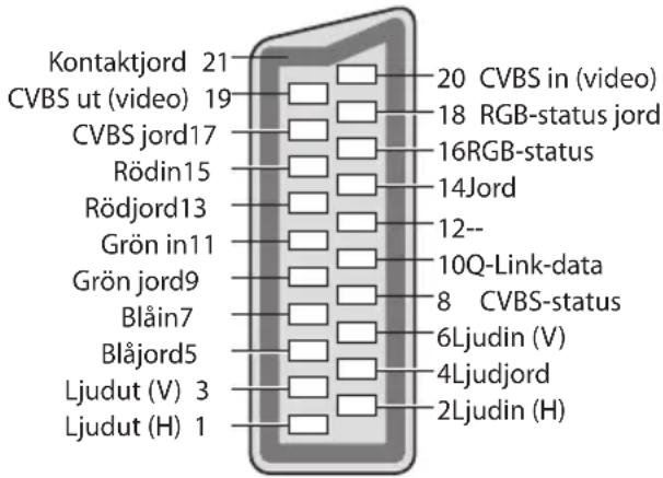 Kontaktjord 21 CVBS ut (video) 19 CVBS jord17 Rödin15 Rödjord13 Grön in11 Grön jord9 Blåin7 Blåjord5 Ljudut (V) 3 Ljudut (H) 1 20 CVBS in (video) 18 RGB-status jord 16RGB-status 14Jord 12-- 10Q-Link-data 8 CVBS-status 6Ljudin (V) 4Ljudjord 2Ljudin (H)