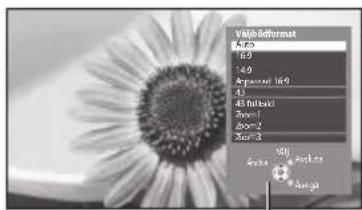 PANASONIC Viera TX-P42G30Y - Visa listan Välj bildformat - 2