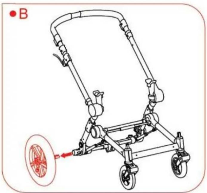 B