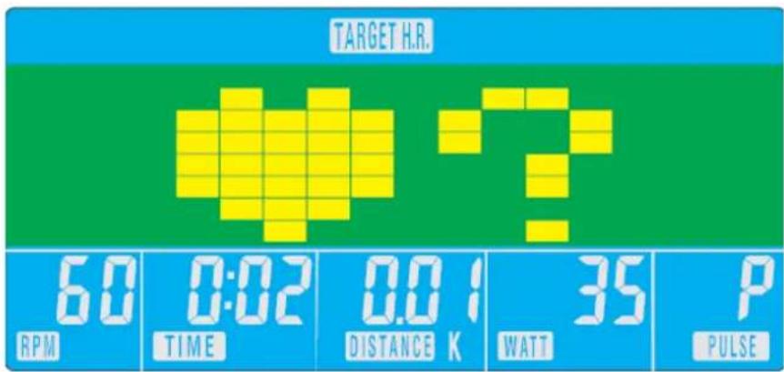 Exerfit 600 Magnetic - H.R.C.: - 3