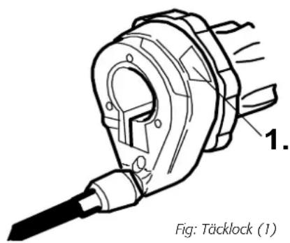 1. Fig: Täcklock (1)