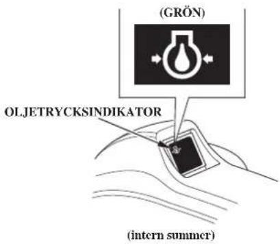 (GRÖN) OLJETRYCKSINDIKATOR (intern summer)
