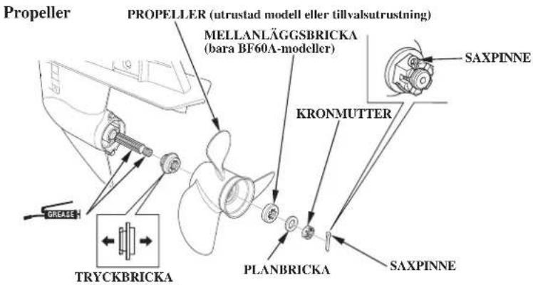 Propeller PROPELLER (utrustad modell eller tillvalsutrustning) MELLANLÄGGSBRICKA (bara BF60A-modeller) KRONMUTTER SAXPINNE PLANBRICKA SAXPINNE GREASE TRYCKBRICKA