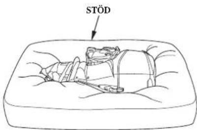 STÖD