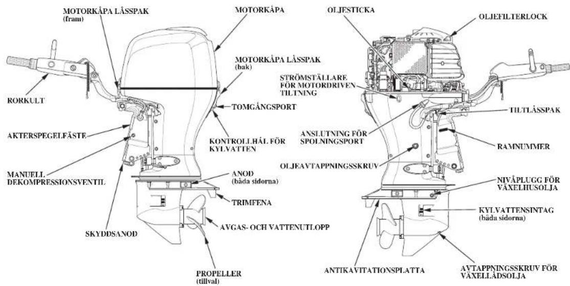 MOTORKÄPA LÄSSPAK (fram) RORKULT AKTERSPEGELFÄSTE MANUELL. DEKOMPRESSIONSVENTIL SKYDDSANOD PROPELLER (tillval) ANOD (båda sidorna) TRIMFENA AVGAS- OCH VATTENUTLOPP TOMGÅNGSPORT KONTROLLHÅL FÖR KYLVATTEN ANSLUTNING FÖR SPOLNINGSPORT OLJEAVTAPPNINGSSKRIUV OLJESTICKA STRÖMSTÄLLARE FÖR MOTORDRIVEN TILTNING TILTÄSSPAK RAMNUMMER NIVÄPLUGG FÖR VÄXELHUSOLJA KYLVATTENSINTAG (båda sidorna) ANTIKAVITATIONSPLATTA AVTAPPNINGSSKRIUV FÖR VÄXELLÄDSOLJA