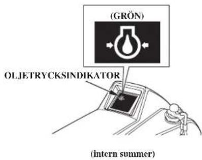 (GRÖN) OLJETRYCKSINDIKATOR (intern summer)