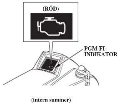 (RÖD) PGM-FI- INDIKATOR (intern summer)