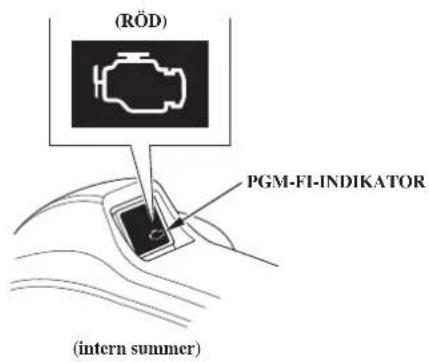 (RÖD) PGM-FI-INDIKATOR (intern summer)