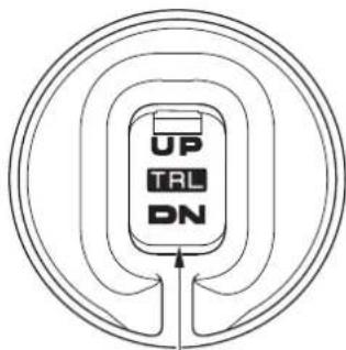 UP TAL DN