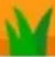 NINTENDO Freakyforms Deluxe - Your Creations Alive (3DS) - ② Select a Kind of Scenery - 1