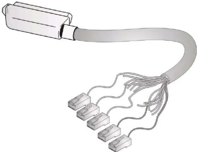 ZYXEL IES-3016ST - Telco-50 Cables - 2