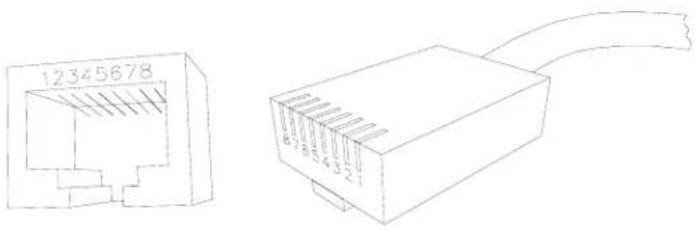 Black Box LB9213A - Appendix A – Connector Pinouts - 1