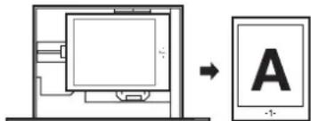 SHARP MX-C300PL - Handinmatningsfack - 3