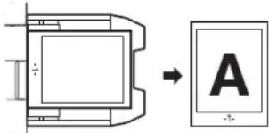 SHARP MX-C300PE - Handinmatningsfack - 6