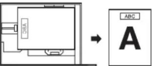 SHARP MX-C300PE - Handinmatningsfack - 2