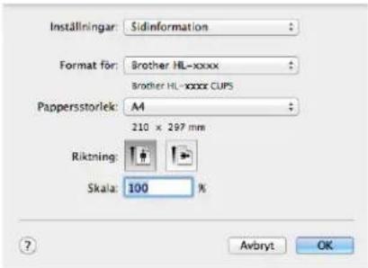 BROTHER HL-1200 E - Välja inställningar för utskriftsformat - 2