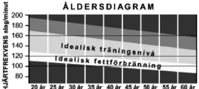 ExtremeFit TM1600 - Träna effektivt - 1