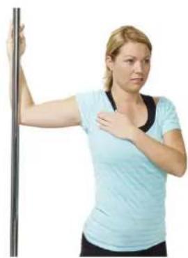 ExtremeFit EB3.0 - MELLAN SKULDERBLADEN - 3