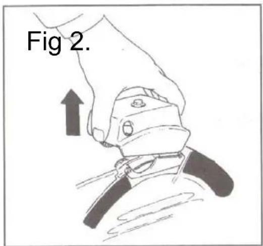 Fig 2.