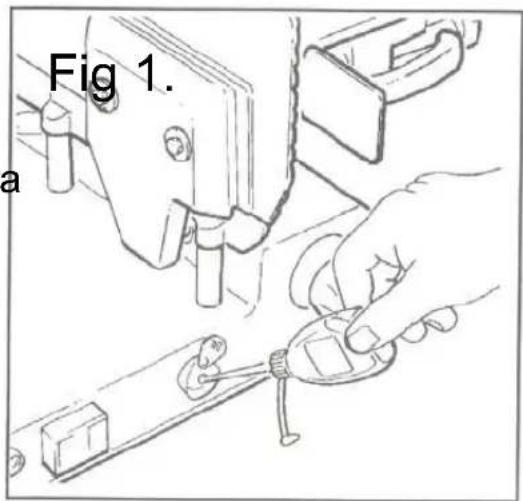 Fig 1. a
