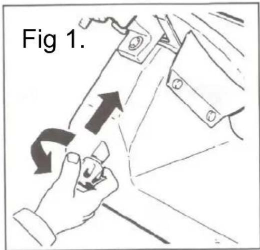 Fig 1.