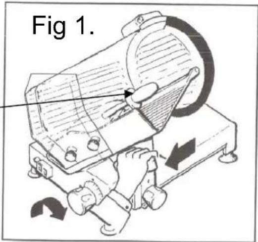 Fig 1.