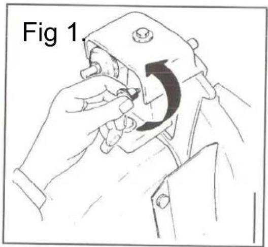 Fig 1.