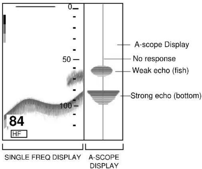 FURUNO 1753C - A-scope display (display only) - 1