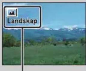 Landskap