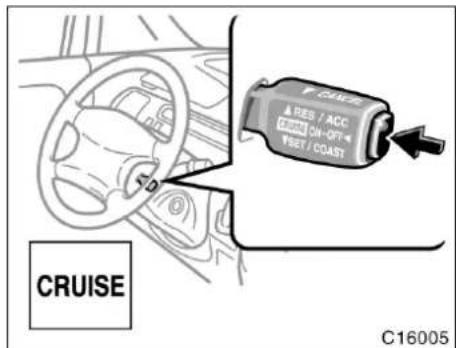 CRUISE C16005