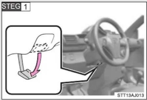 STEG 1 STT13AJ013