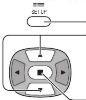 SET UP