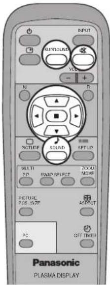 INPUT SUPROUND VCS N R PICTURE SOUND SET UP MULTI DO SWAP SELECT ROOM MOVE PICTURE POS. SIZE APPLICAT OFF TIMER PC Panasonic PLASMA DISPLAY