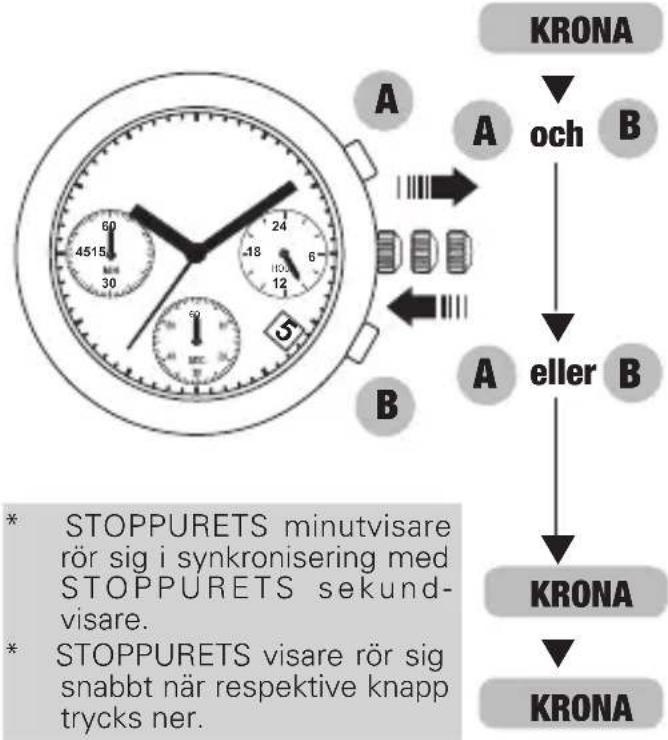 PULSAR Regular PT3779X1 - ● Nödvändiga åtgärder efter batteribyte - 1