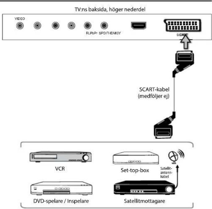 TV:ns baksida, höger nederdel VIDEO RLPEP- SPOLITHIXISY SCART SCART-kabel (medföljer ej) VCR Set-top-box Satellit- antenn- kabel DVD-spelare / Inspelare Satellitmottagare