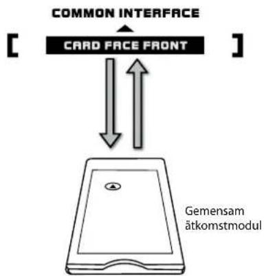 COMMON INTERFACE CARD FACE FRONT Gemensam ätkomstmodul