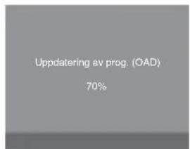 JVC LT-55E55B - Anpassa TV-inställningar - 4