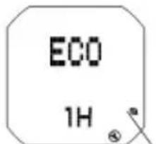 ECO 1H