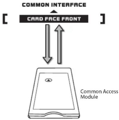 Logik L32LED11 - To remove the Common Access Module - 1