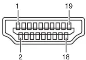 1 19 2 18