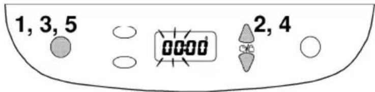 1, 3, 5 0000 2, 4