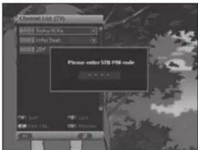 Channel List (TV) 0003 Sogoulli.Ka 0002 info/Text 0003 ZRF Please enter STD PIN code 1.0x7.0x 2.0x7.0x 3.0x7.0x 4.0x7.0x