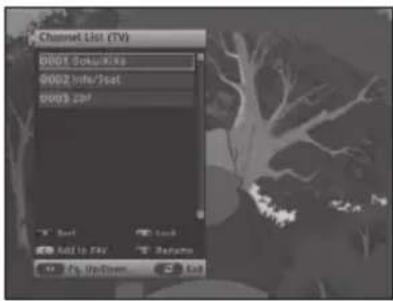 Channel List (TV) 0001 Sokuakika 0002 Info/Stat 0003 259 Add Up FAV Add Up Down Add Up Down
