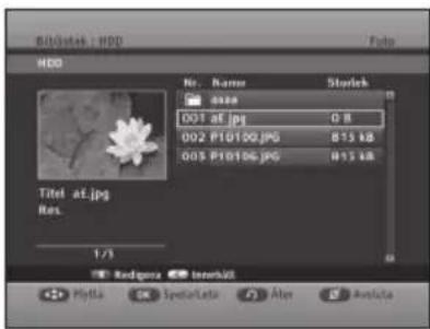 BIDUATE : HDD HDD Name: Starlek 001 af.jpg 0.8 002 P10100.JPG 875 kB 003 P10106.jpg 875 kB Titel af.jpg Res. 1/3 Rodgona InnerMIL File Edit Spectrolator Alter Avolsta