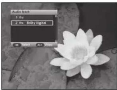 Audio track 5. Fra 2. Fra - Delay Digital OK Select ALT View