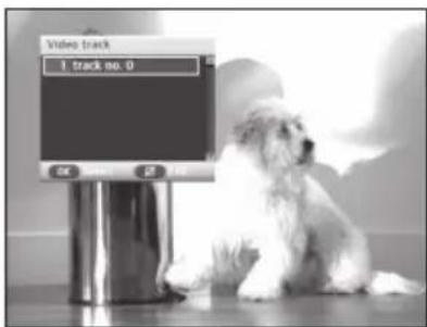 Video track 1. Track no. 0